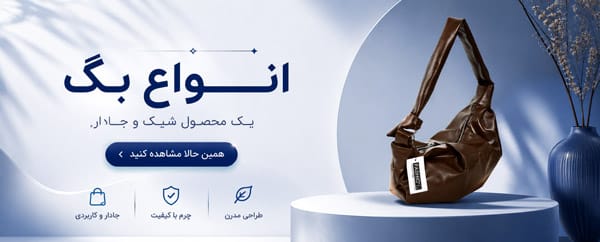 انواع بگ